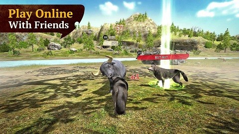 Wolf Online Games